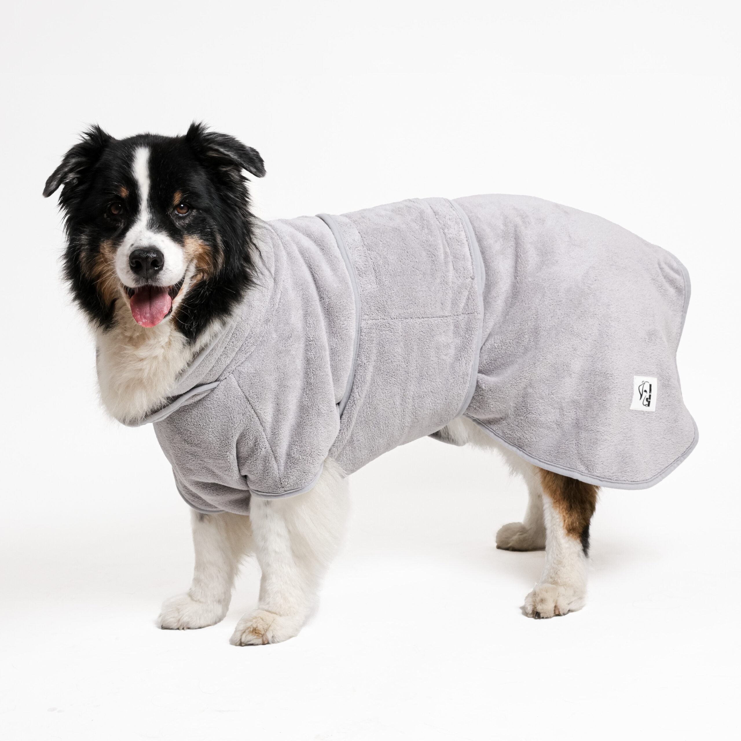 Hund entspannt im Bademantel